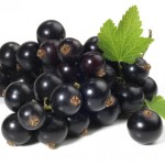 cassis fruit