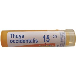 thuya_occidentalis_15_ch_-_80_granules_450x450